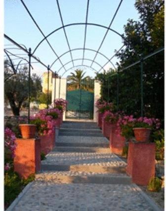 Villa Rosmarino คาโมยลี ภายนอก รูปภาพ