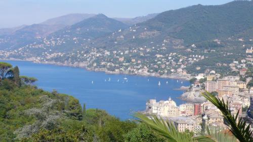 Villa Rosmarino คาโมยลี ภายนอก รูปภาพ